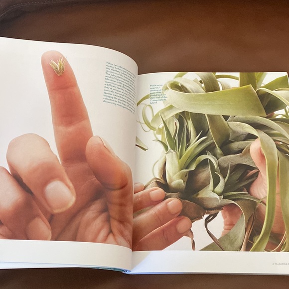 Book on Air Plants Tillandsias - Picture 5 of 6